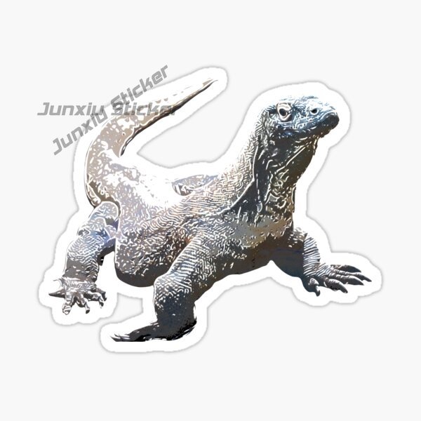 Komodo National Park Komodo Is - Car Accessories Bali ulasan dan harga