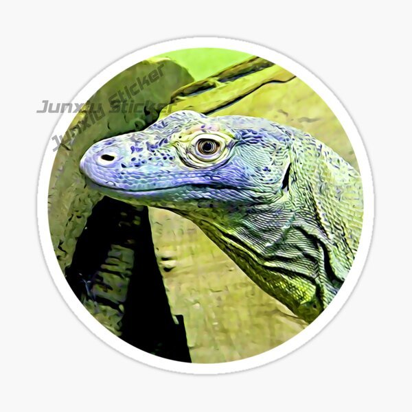 Komodo National Park Komodo Is - Car Accessories Bali ulasan dan harga